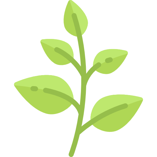 herb Produits naturels Baumes de marie