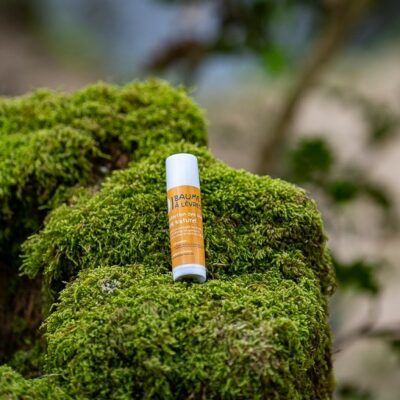 Baume à lèvres naturel au beurre de karité