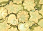 fondant parfumé Verveine