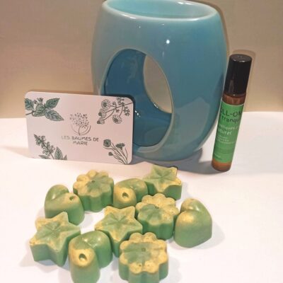 Pack anti moustique: 10 fondants + bruleur + roll-on anti moustique à emporter partout avec vous!