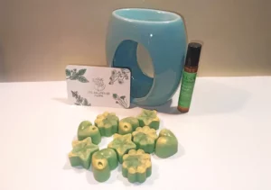 Comment se protéger efficacement contre les moustiques au naturel