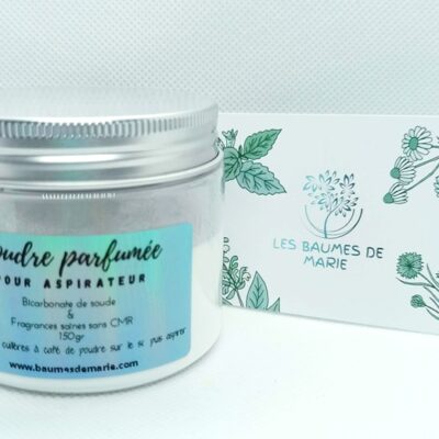 Parfum pour aspirateur